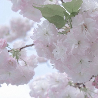 Furry绘画动态技巧福瑞交流群